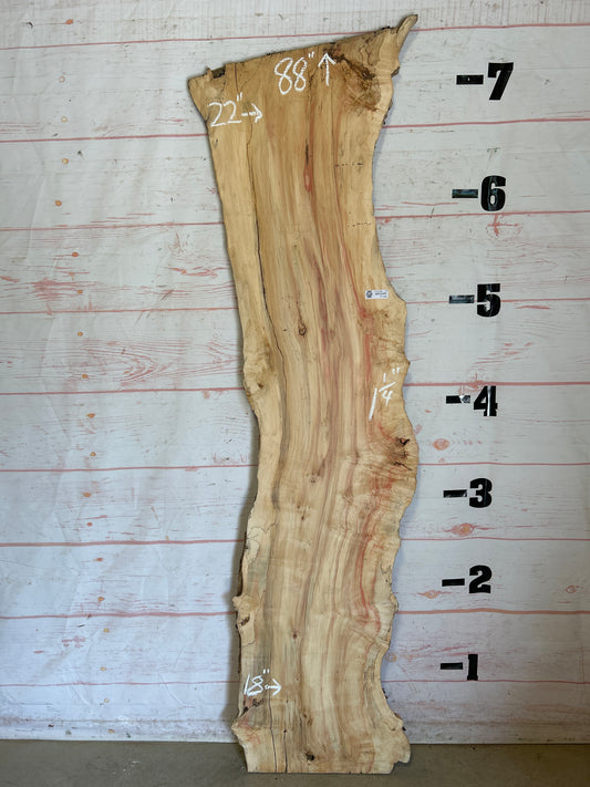 Live Edge Box Elder Sku#25230D-15