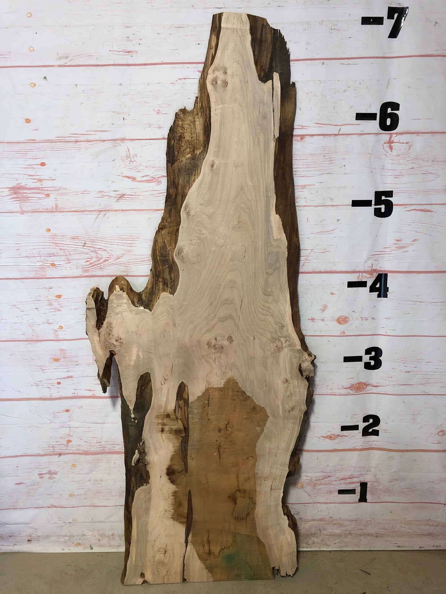 Live Edge Maple Sku# 22229-20