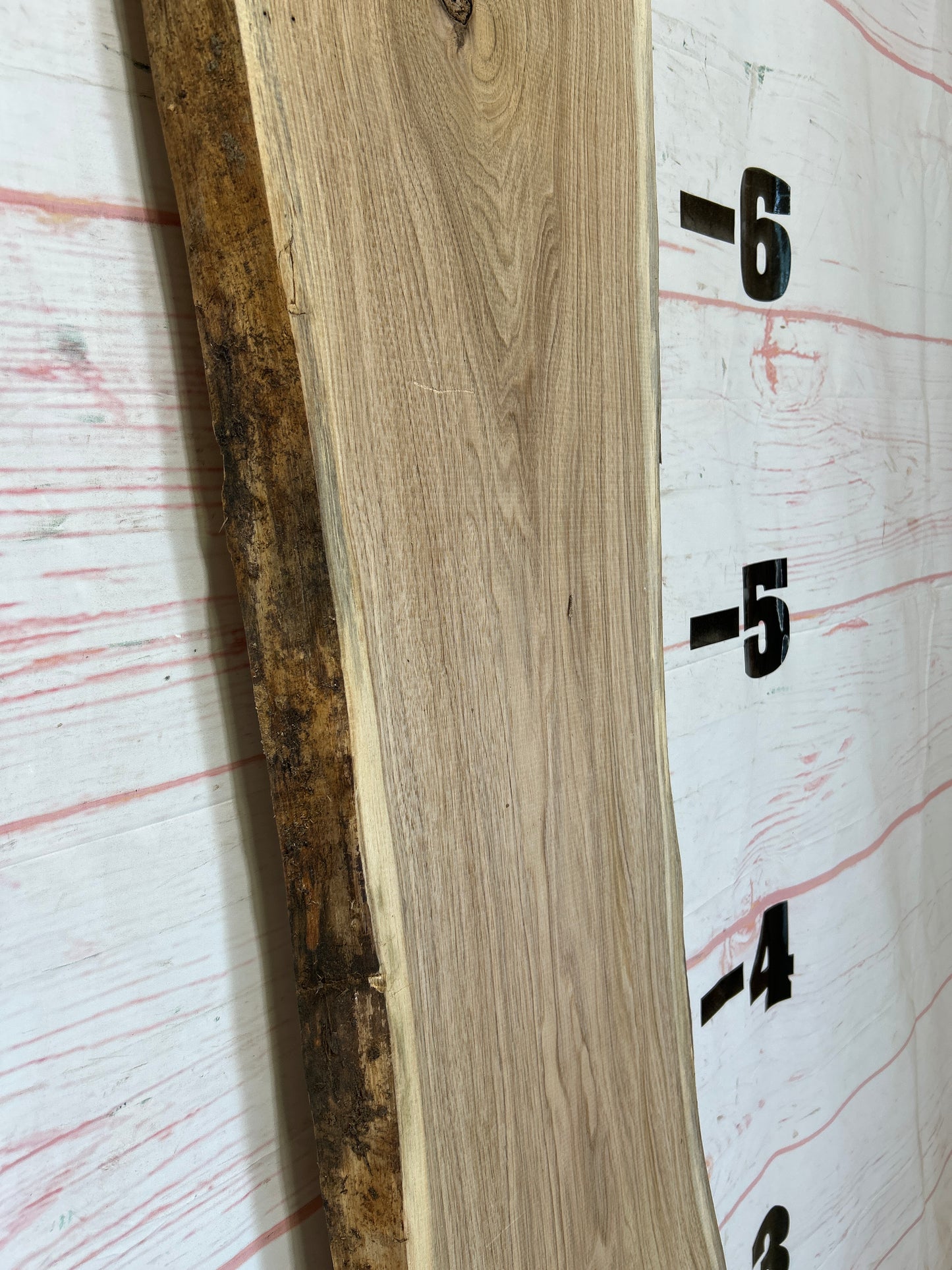 Live Edge Butternut Sku#25940C-13