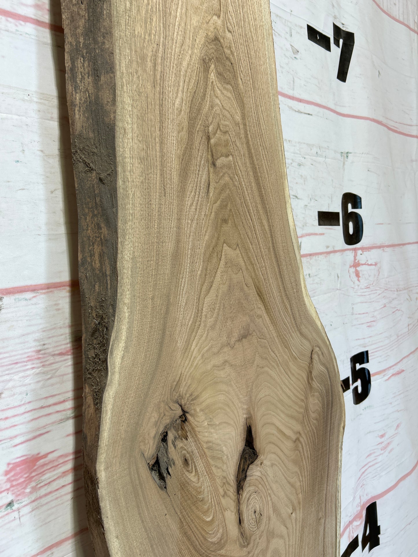 Live Edge Butternut Sku#25947-18