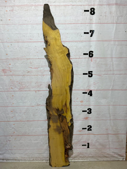 Live Edge Osage Orange Sku#27036B-18