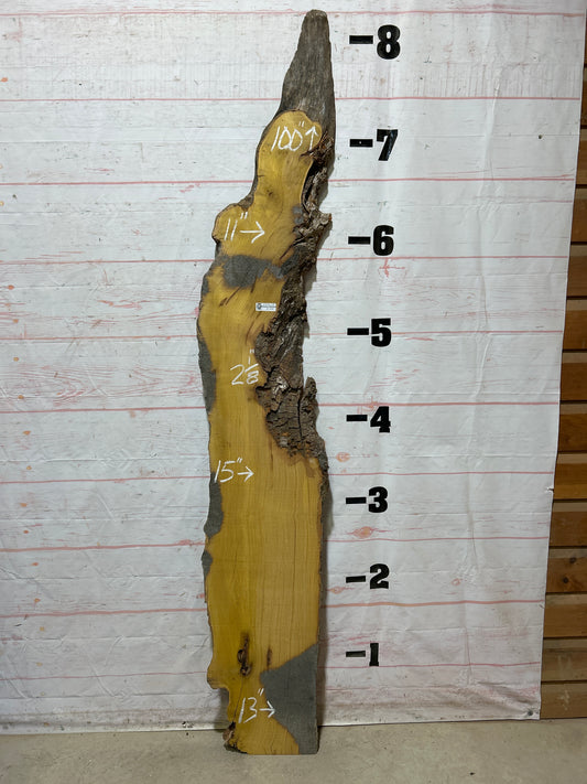Live Edge Osage Orange Sku#27036B-18