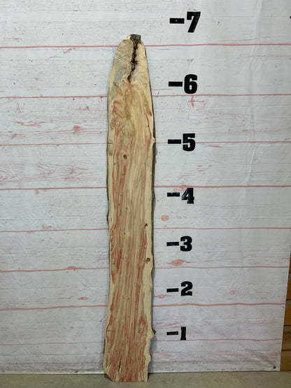 Live Edge Box Elder Sku#25743D-8