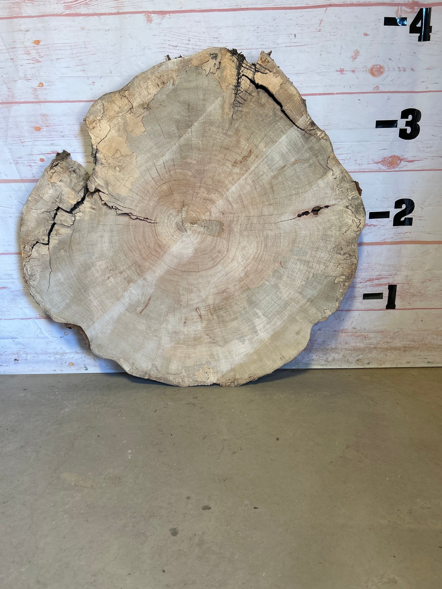 Live Edge Maple Cookie #24006