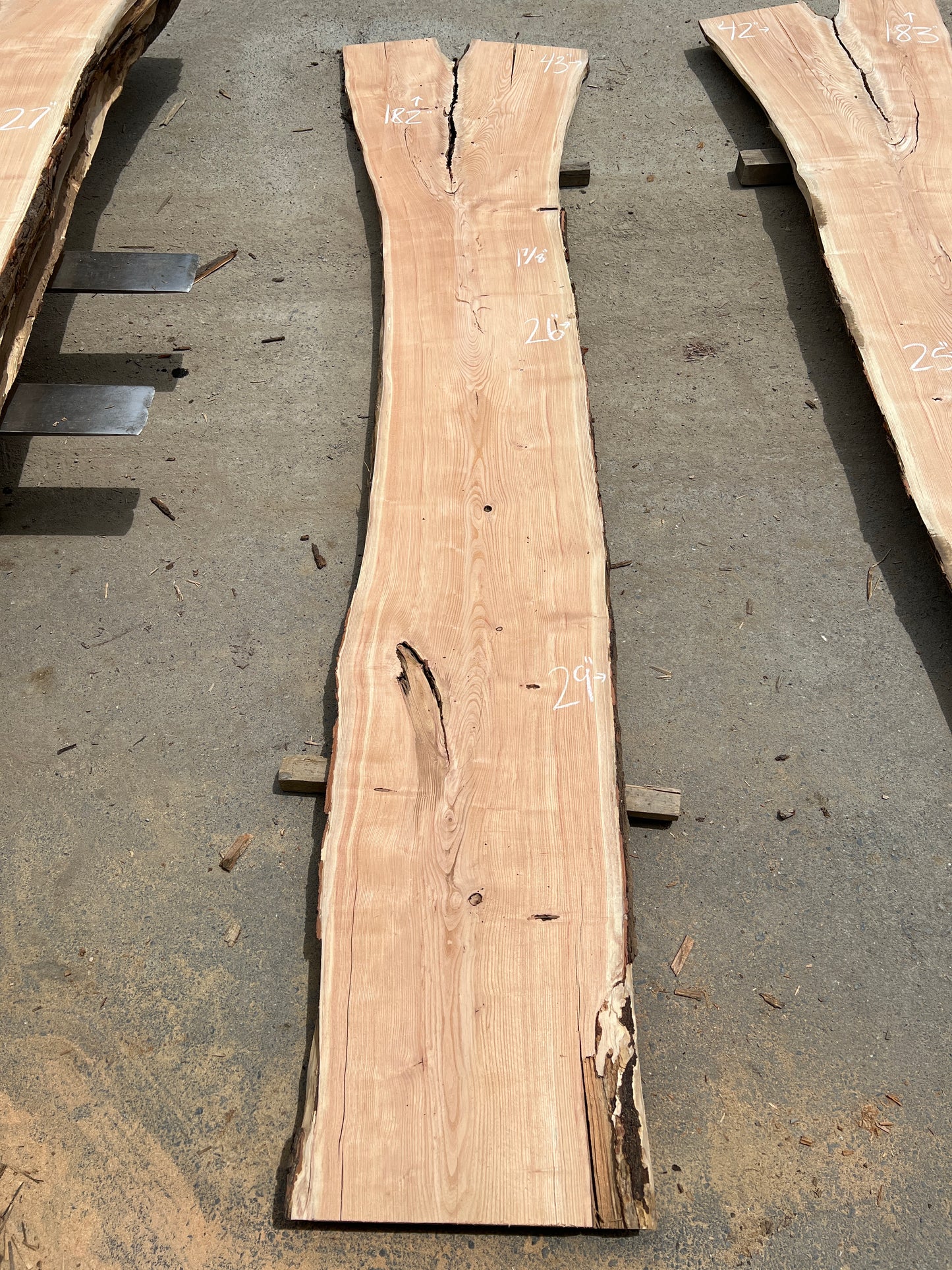 Live Edge Honey Locust - Sku# 20258-70