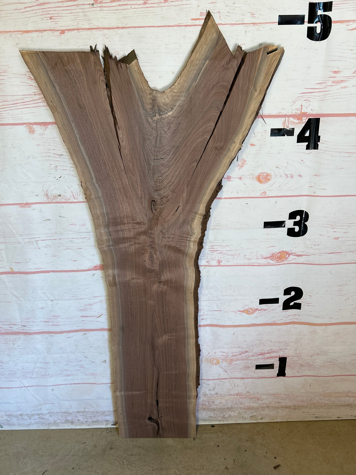 Live Edge Walnut Sku#23713M-13