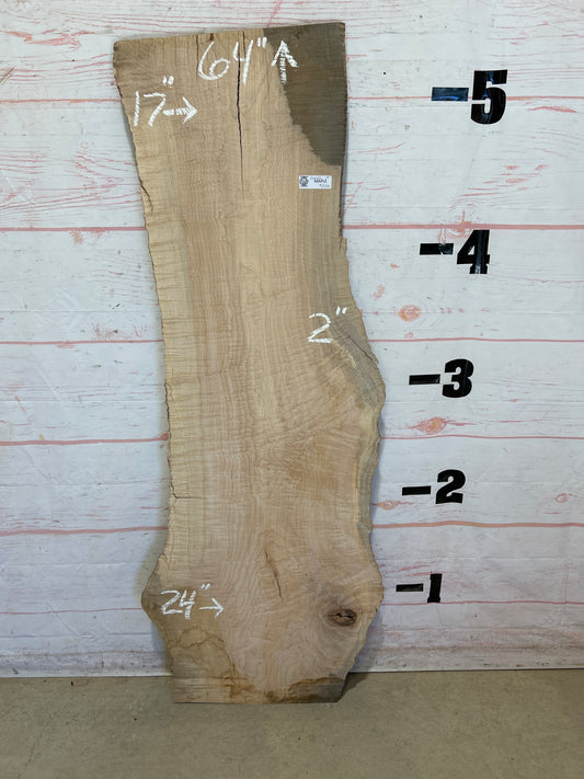 Live Edge Curly Maple Sku#26020E-19