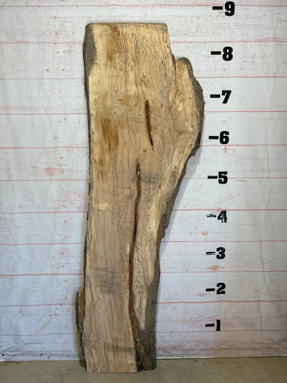 Live Edge Maple Sku#26263-40