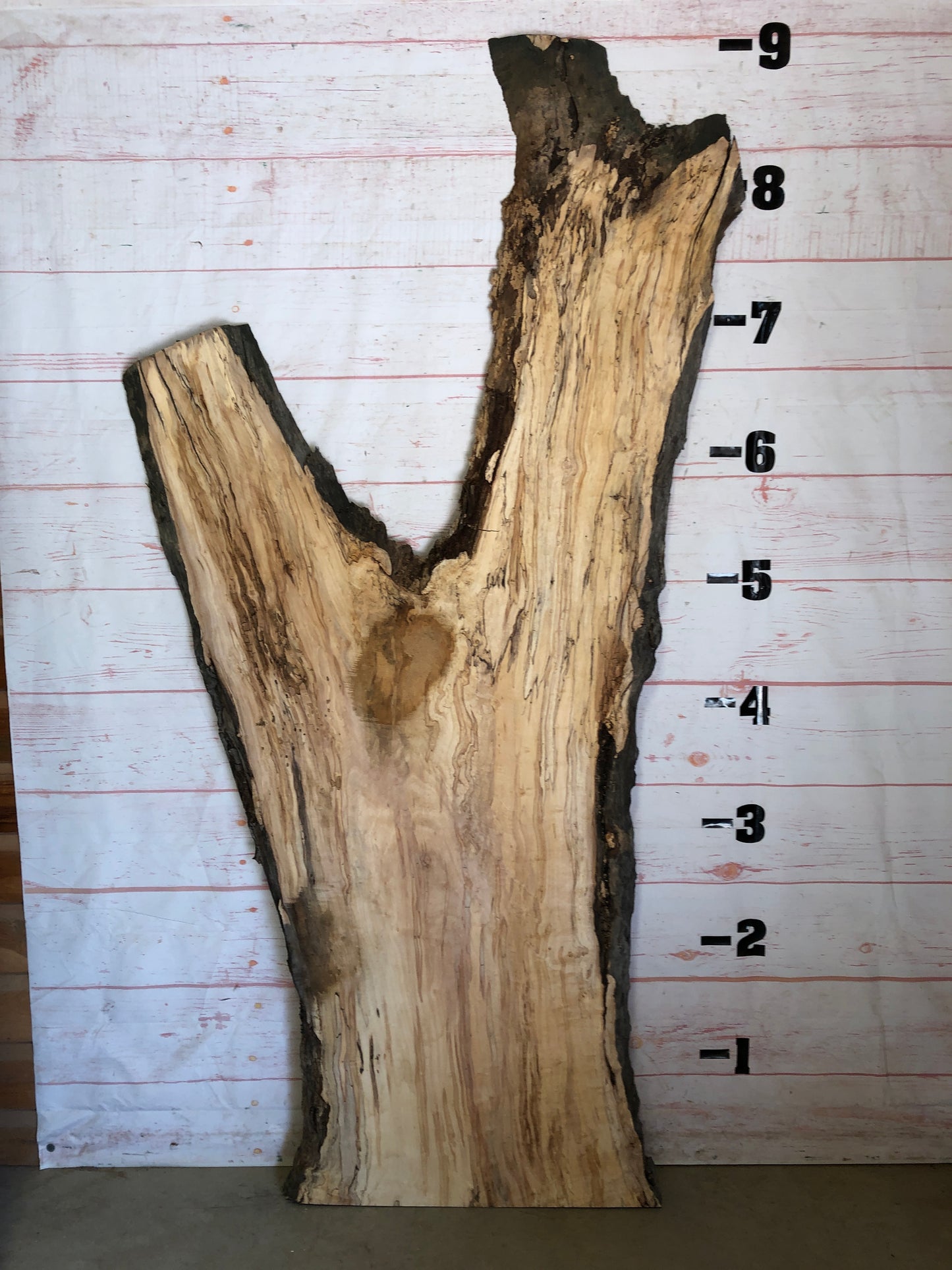 Live Edge Spalted Maple Sku#23547S-54