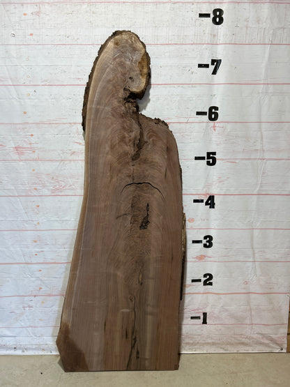Live Edge Walnut Sku#27156-33
