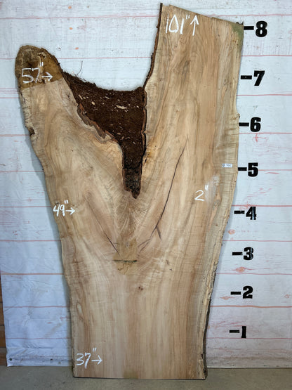Live Edge Maple Sku#26377-66
