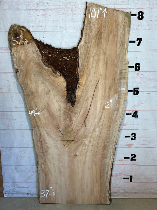 Live Edge Maple Sku#26377-66