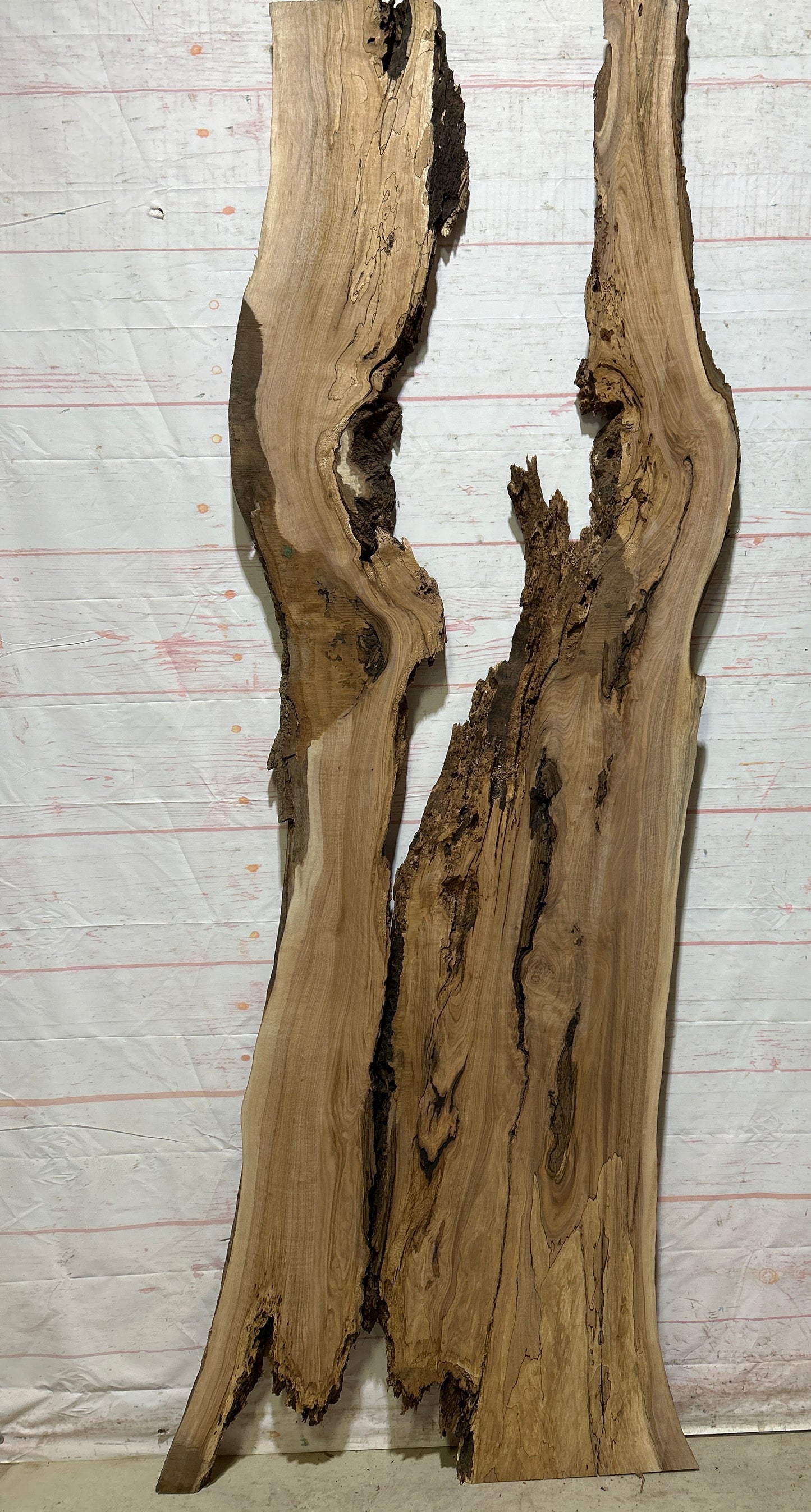 Live Edge Butternut Sku#26756S-10