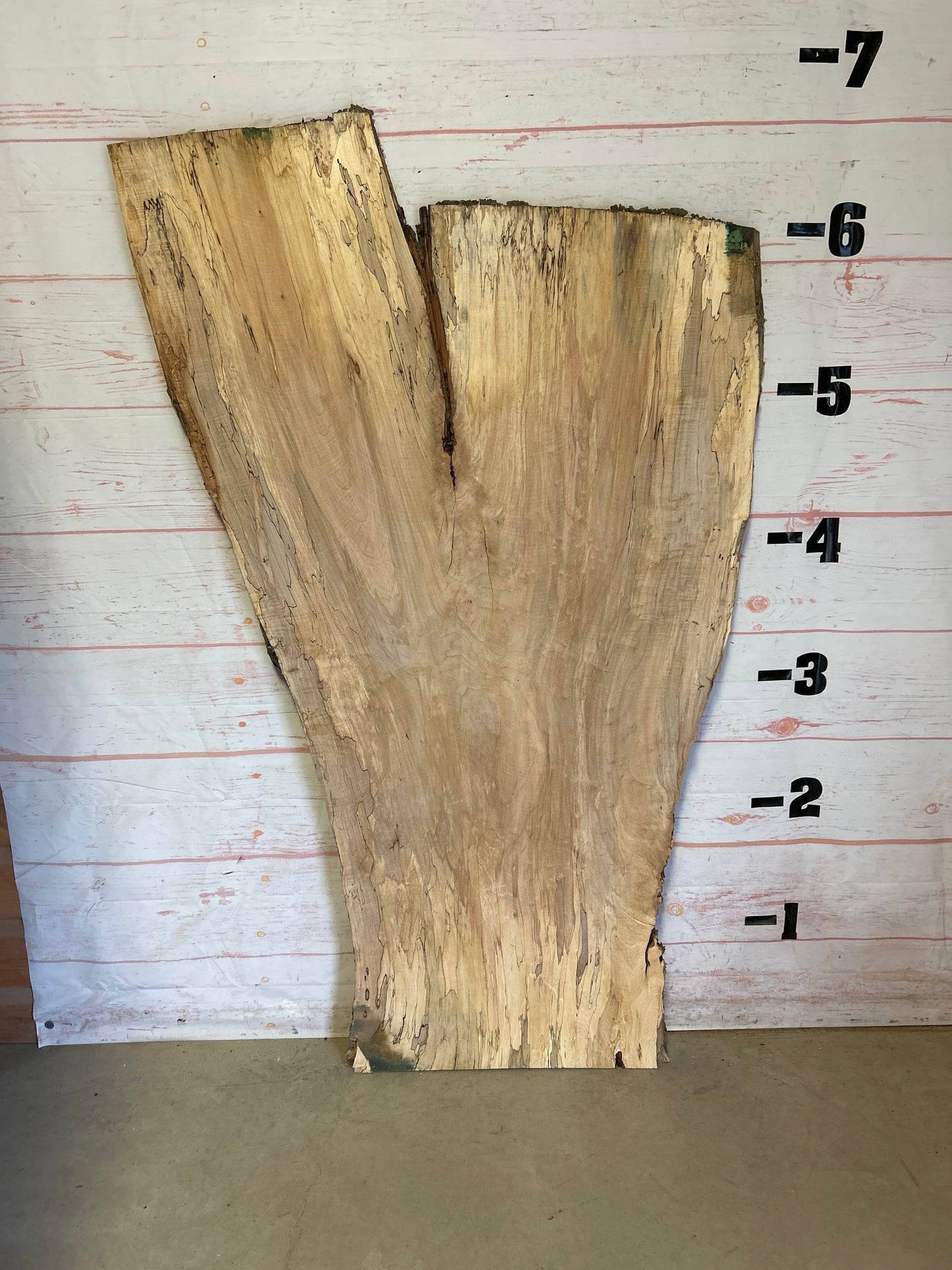 Live Edge Spalted Maple Sku#23926S-42