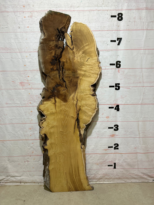 Live Edge Mulberry Sku#26929-41