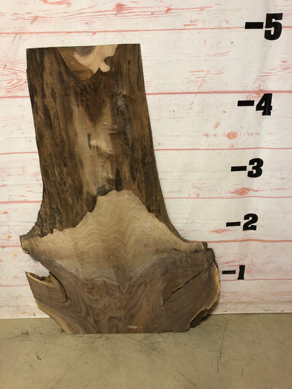 Live Edge Walnut Sku# 22246-23