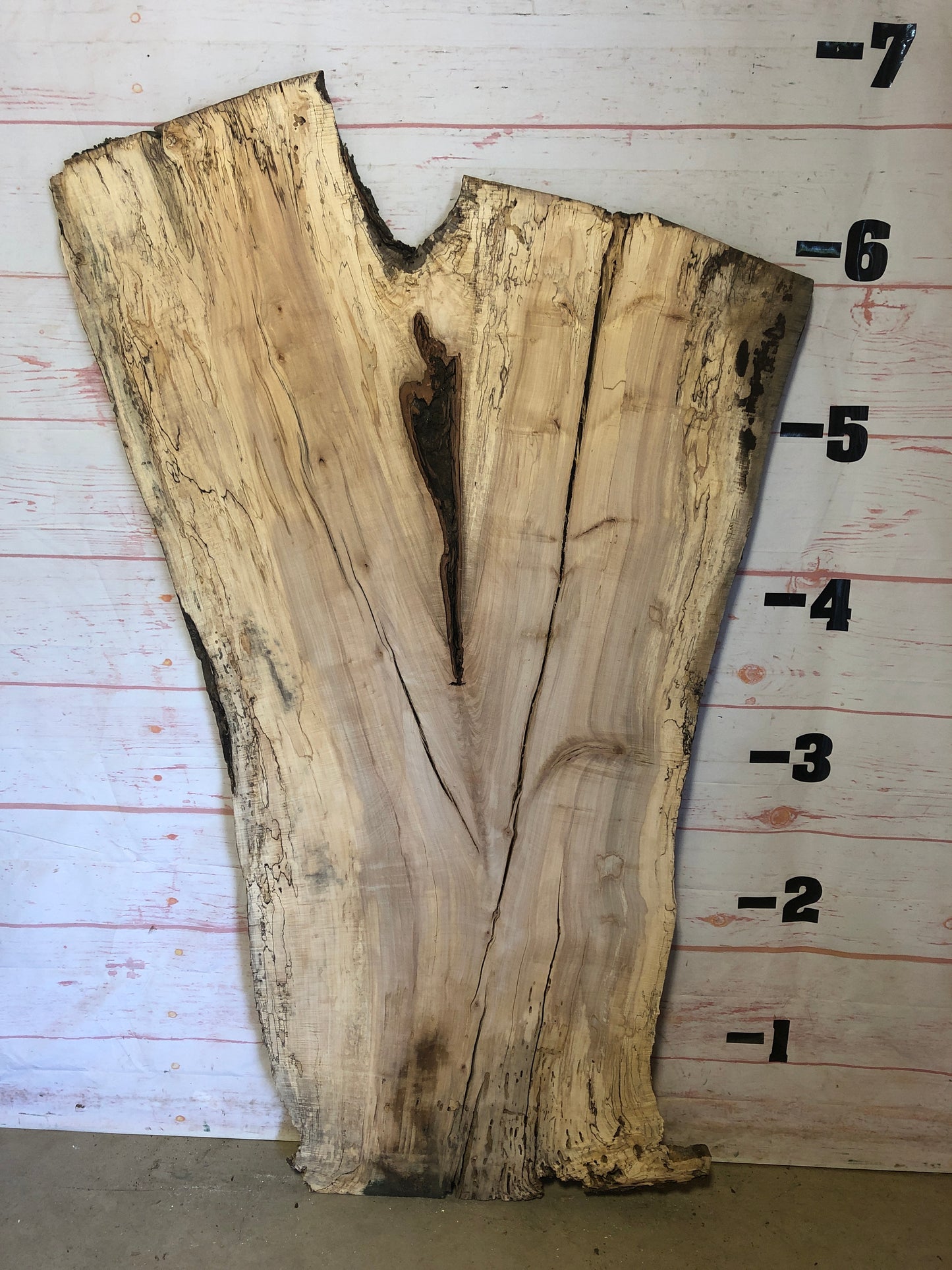 Live Edge Spalted Maple Sku#23216S-39