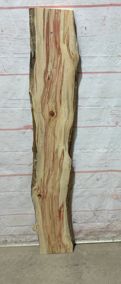 Live Edge Box Elder Sku#26771M-4