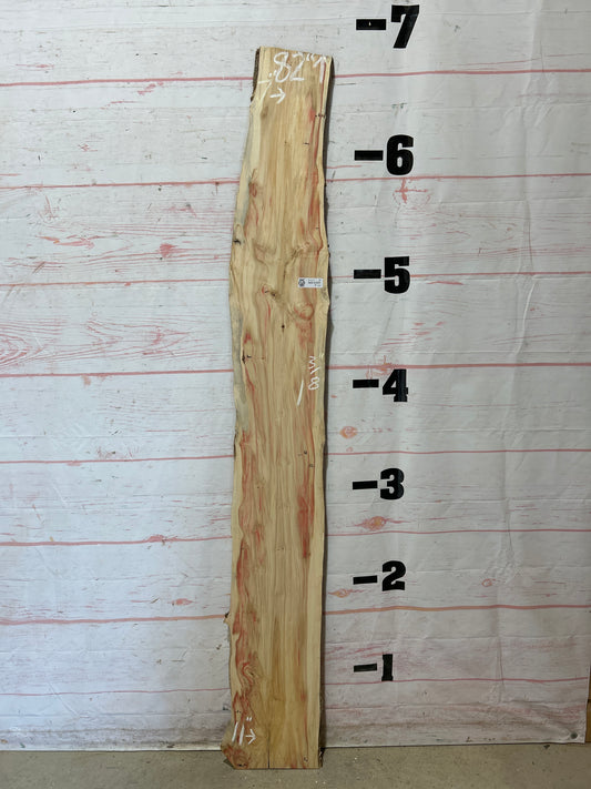 Live Edge Box Elder Sku#25711D-8