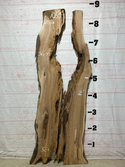 Live Edge Butternut Sku#26755S-45