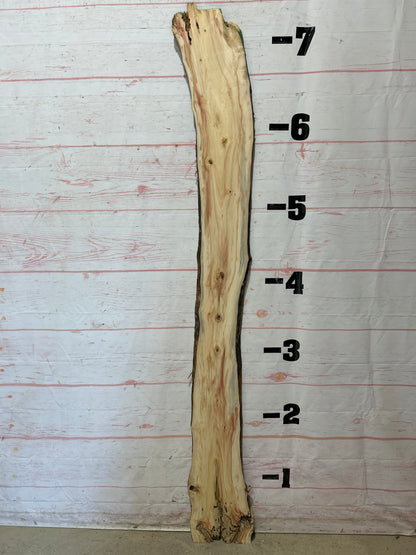 Live Edge Box Elder Sku#25712D-9