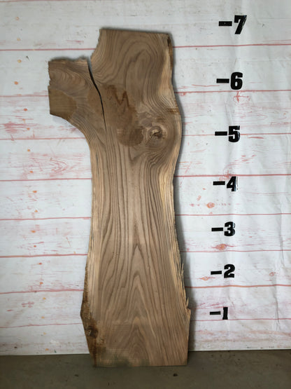 Live Edge Elm Sku# 21661-17