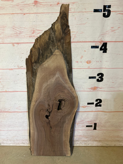 Live Edge Walnut Sku#24504A-16