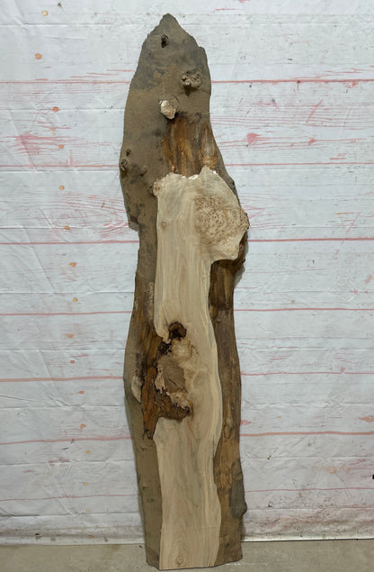 Live Edge Maple Sku#26706E-10