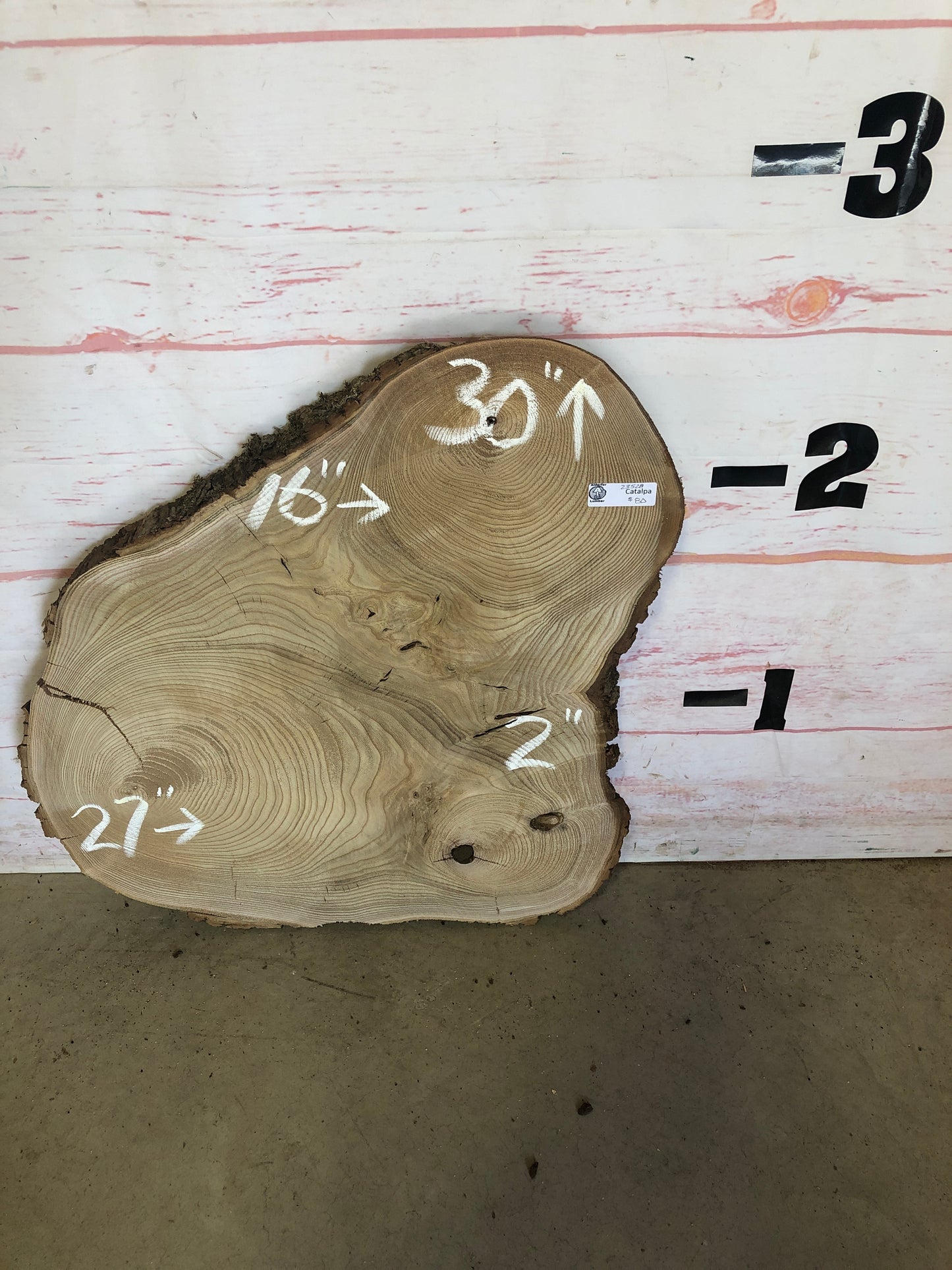 Live Edge Catalpa Cookie Sku#23528M