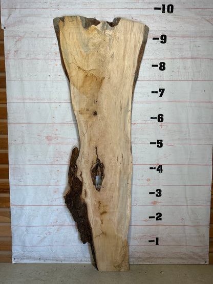 Live Edge Maple Sku#26332-47