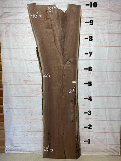 Live Edge Walnut Sku#26626K-55