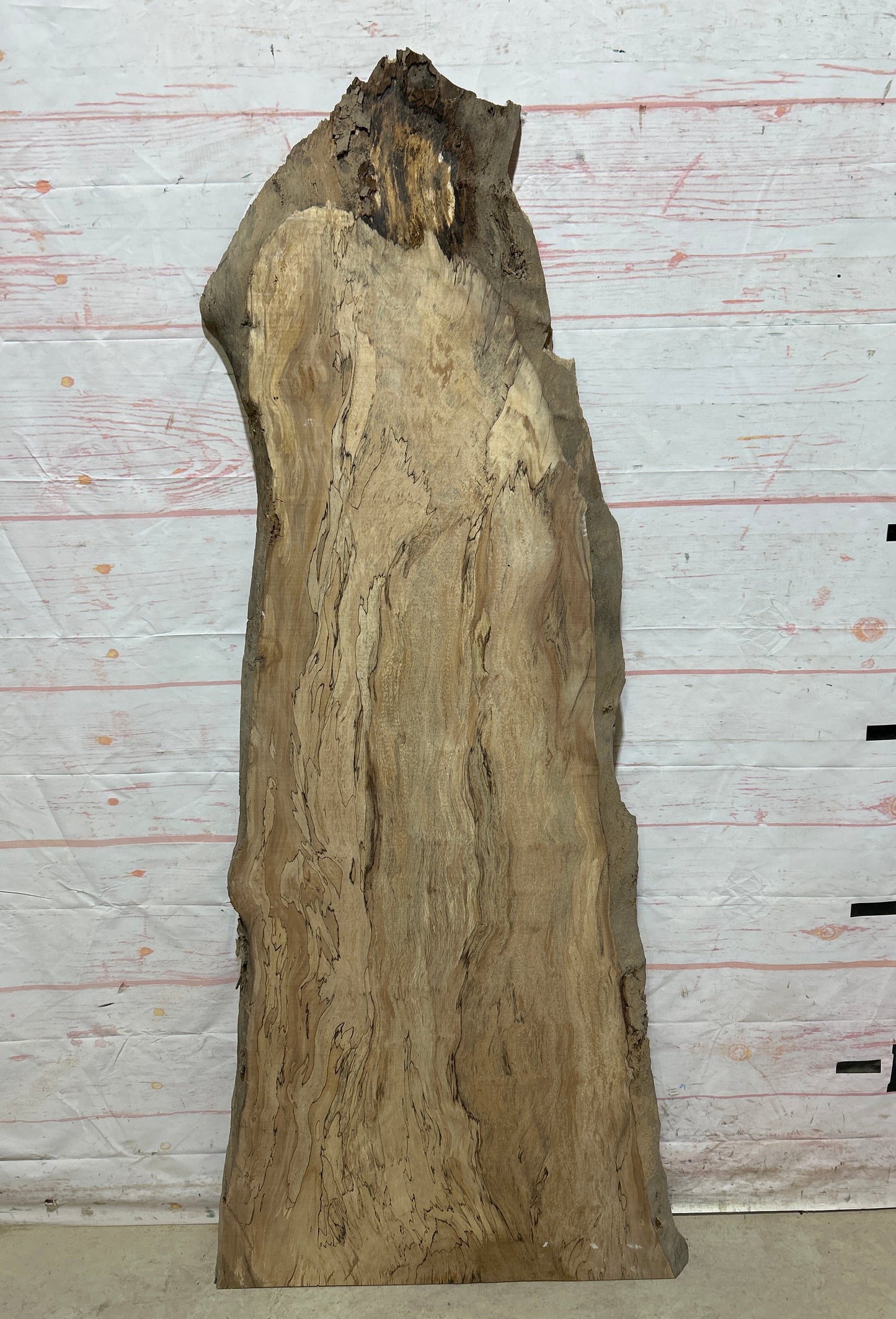 Live Edge Maple Sku#26702E-18