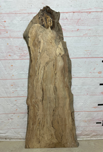 Live Edge Maple Sku#26702E-18