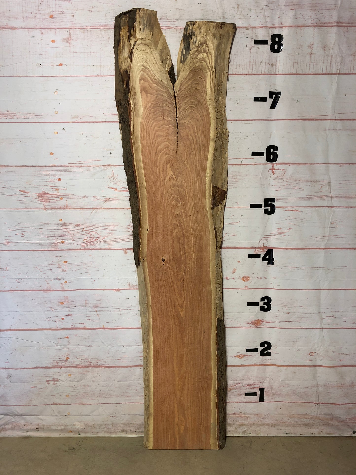 Live Edge Honey Locust Sku# 22606-37