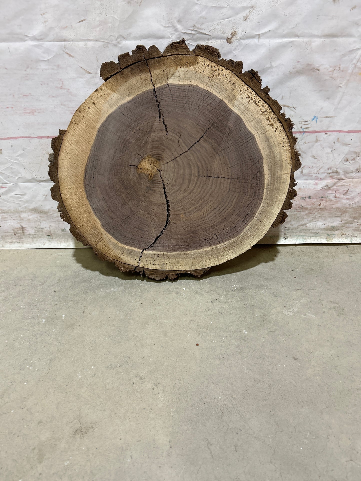 Live Edge Walnut Sku#26848M