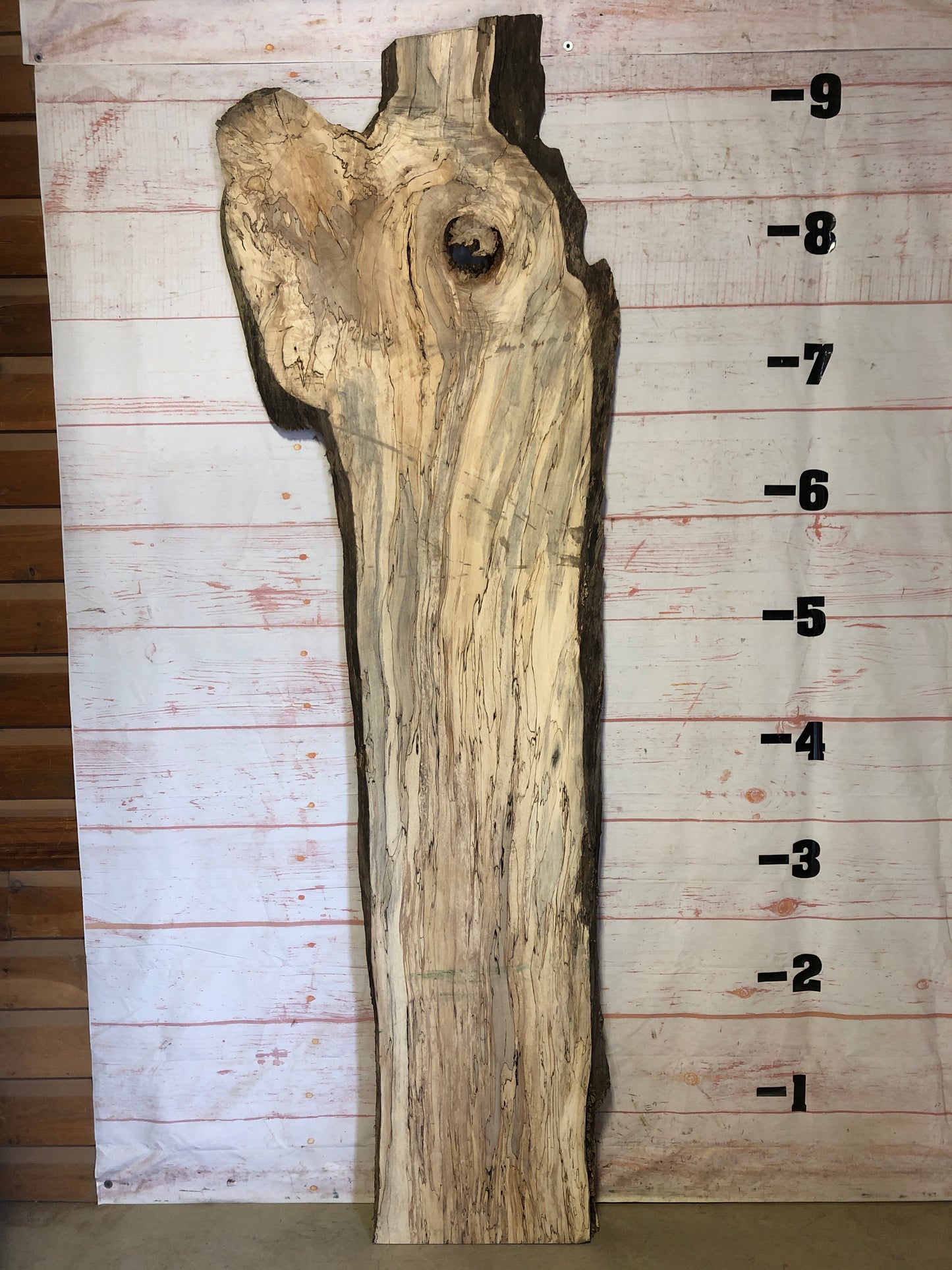 Live Edge Spalted MapleSku# 21821-50