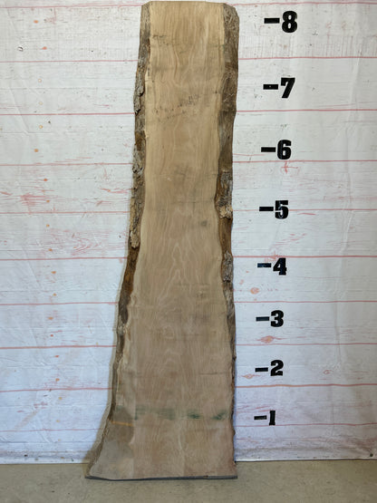Live Edge Sycamore Sku#26271-36