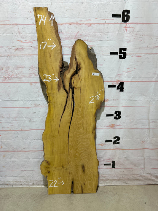 Live Edge Osage Orange Sku#27034B-21