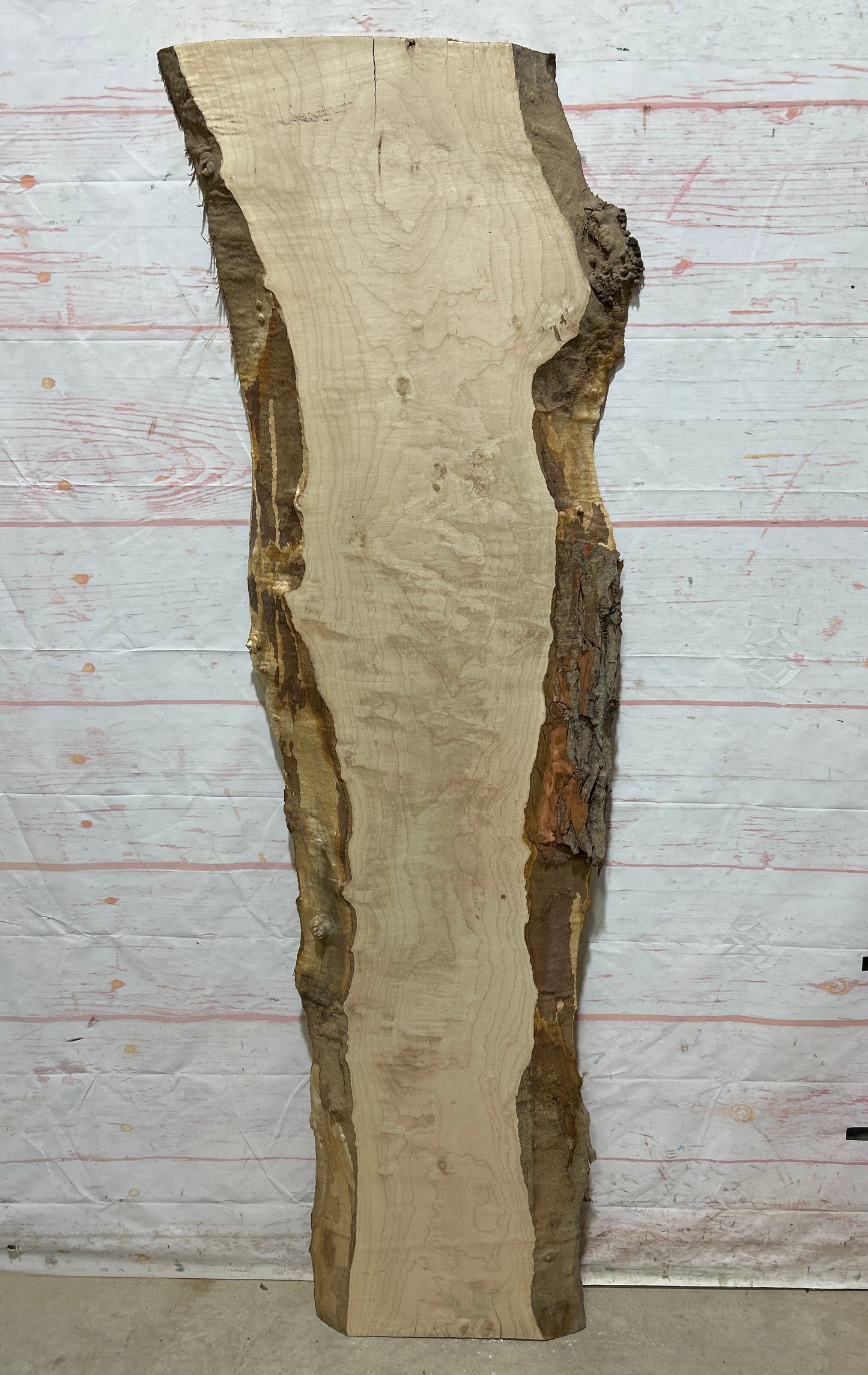 Live Edge Maple Sku#26707E-14