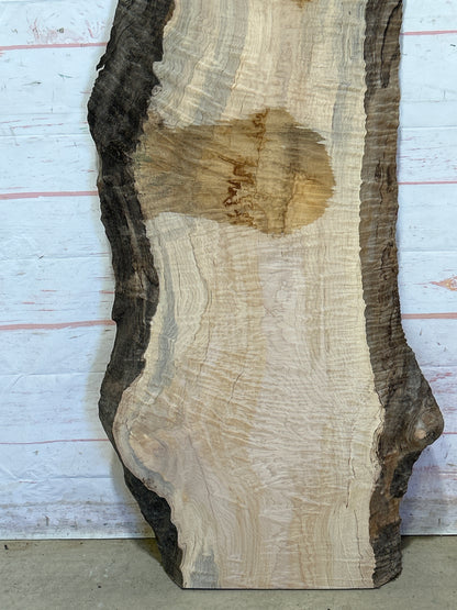 Live Edge Curly Maple Sku#26020E-19