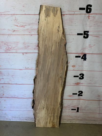 Live Edge Spalted Maple Sku#22674E-13