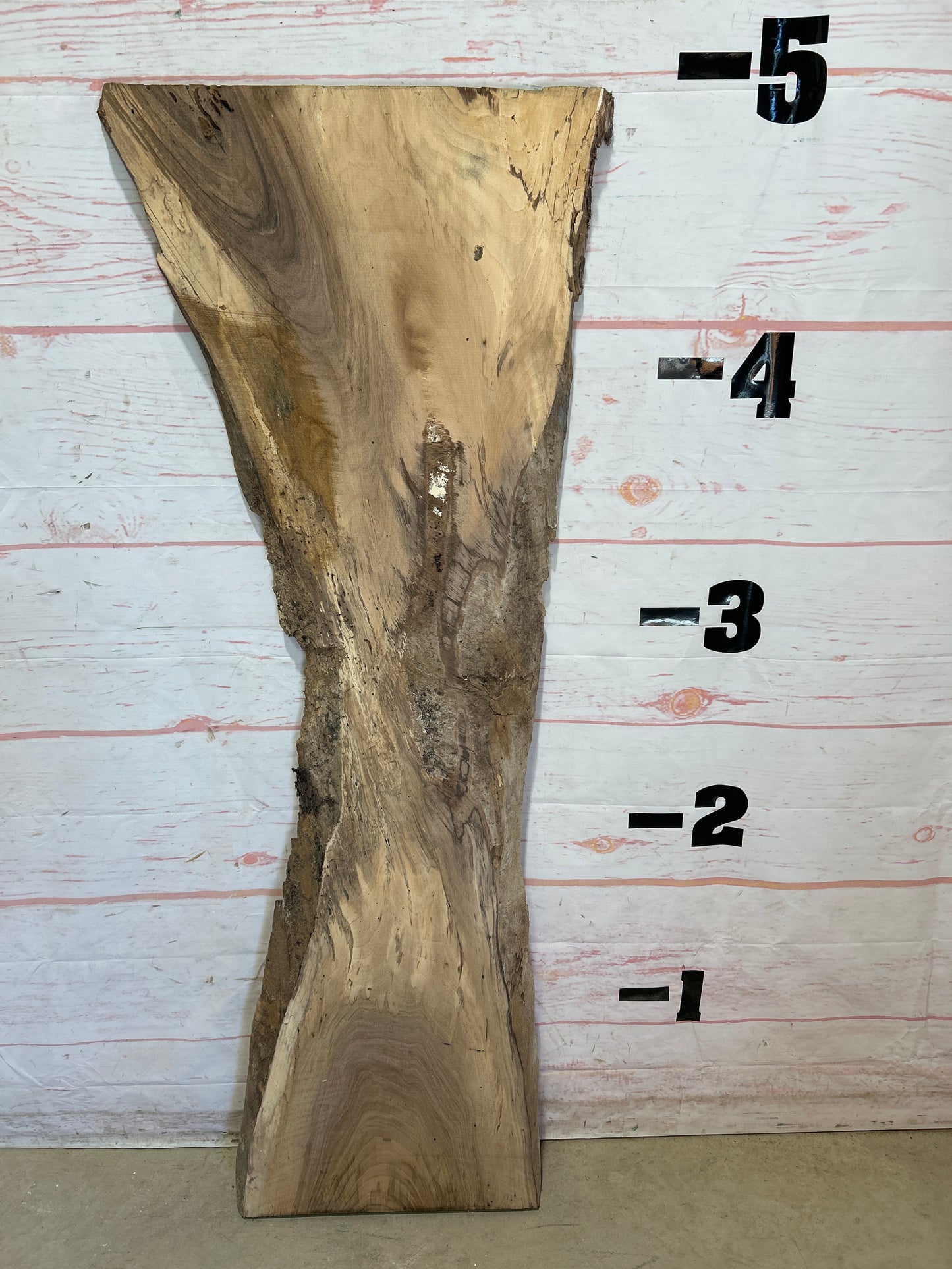 Live Edge English Walnut Sku#25570M-8