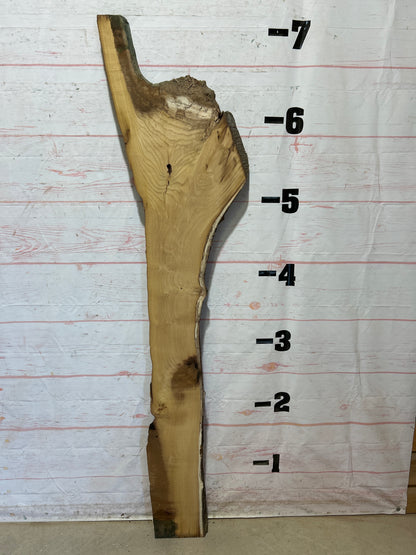 Live Edge Mulberry Sku#27109-14