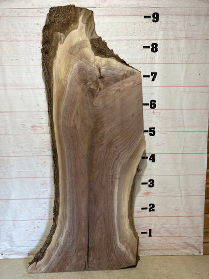 Live Edge Walnut Sku#26234S-64