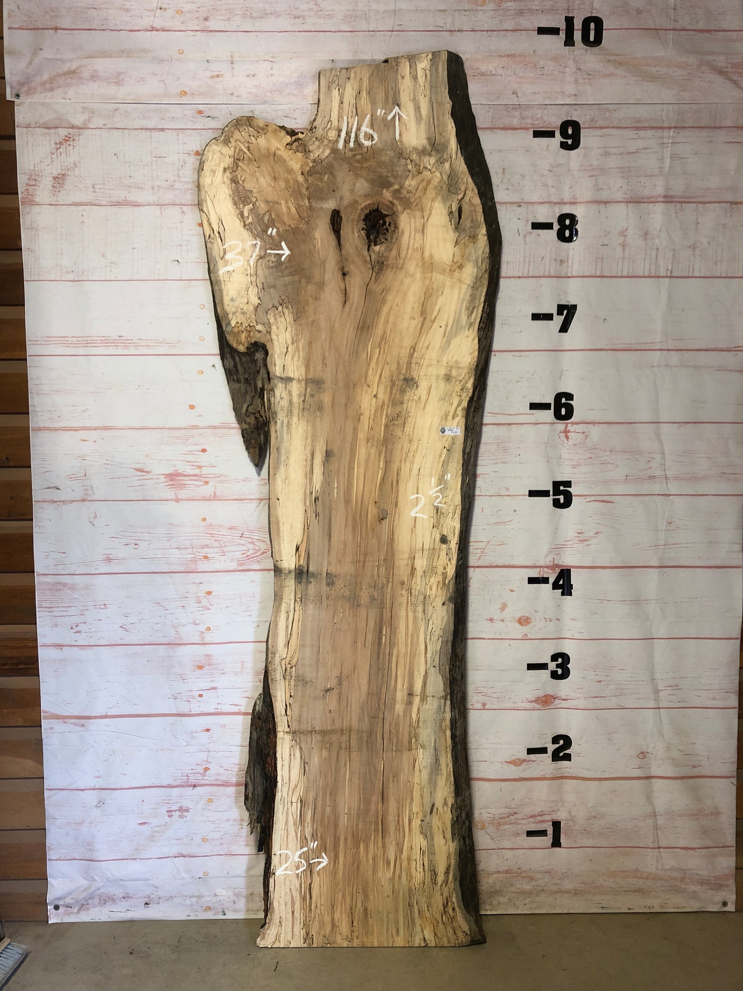 Live Edge Spalted Maple Sku# 21829-62