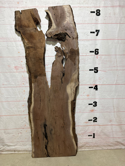 Live Edge Walnut Sku#27199J-50