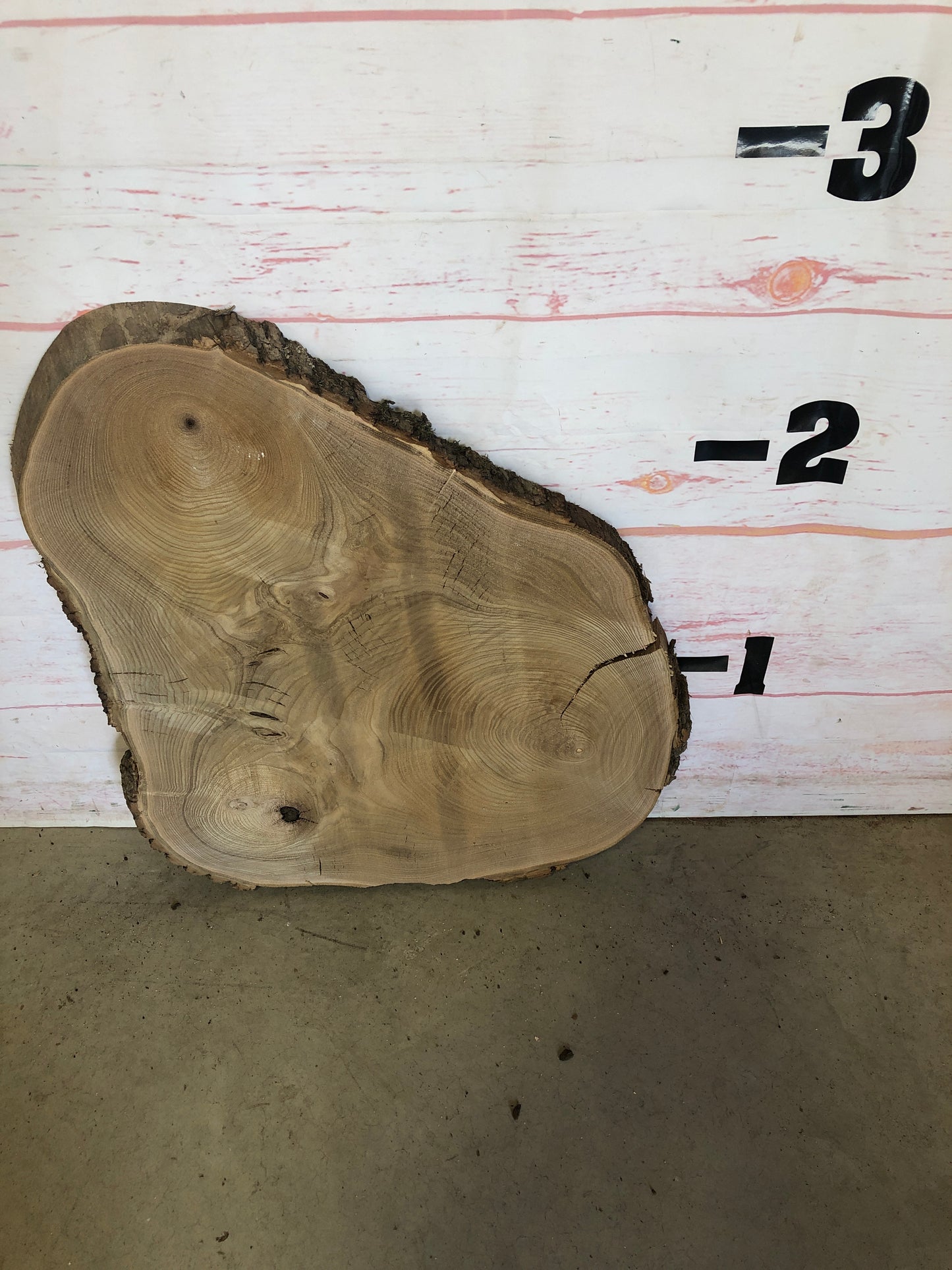 Live Edge Catalpa Cookie Sku#23528M