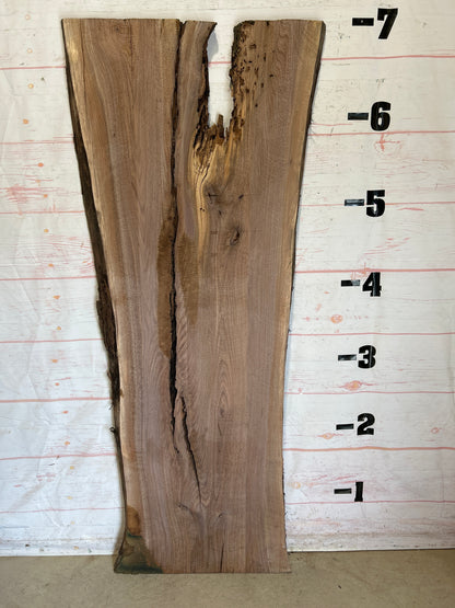 Live Edge Walnut Sku#26512C-36