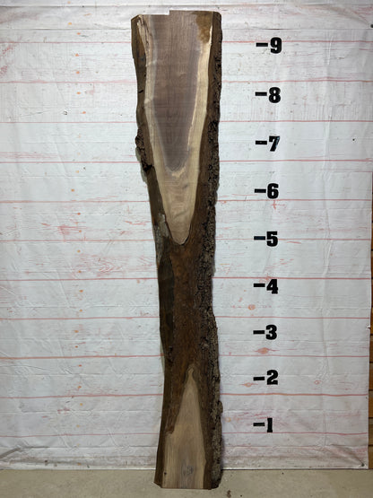 Live Edge Walnut Sku# 26007M-21