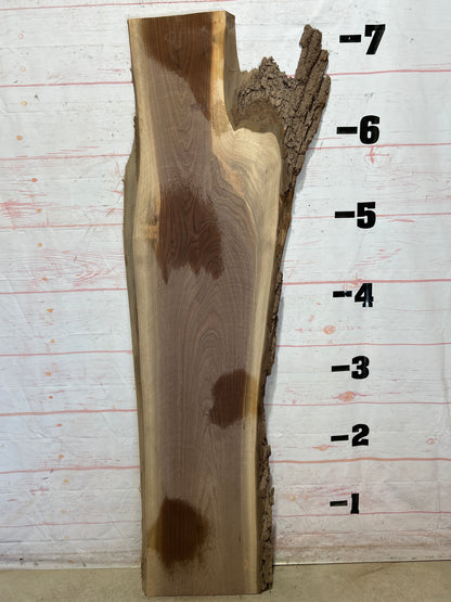 Live Edge Walnut Sku#20084J-24